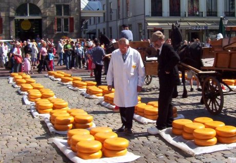 A cheese market in the city of Gouda, Netherlands.